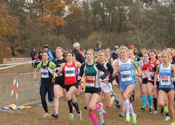 DHM Crosslauf am Samstag in Pforzheim