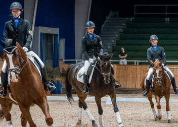 Uni Halle-Wittenberg lädt ein zur DHM Reiten 2025