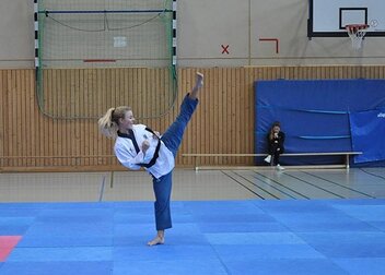 DHM Taekwondo in Mainz