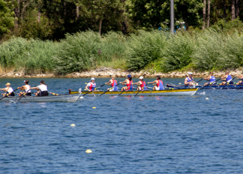 WG Hannover erfolgreichstes Team bei der DHM Rudern 2023