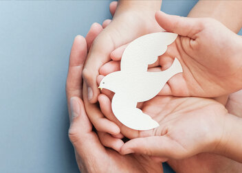 Der adh verurteilt die terroristischen Angriffe auf den Staat Israel