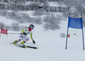 Uni Augsburg gewinnt Teamwertung bei DHM Ski Alpin