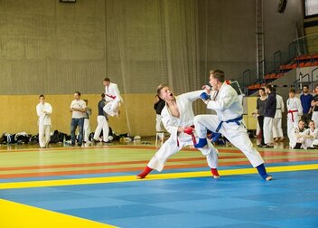 DHM Ju-Jutsu am Samstag in Geisenheim  