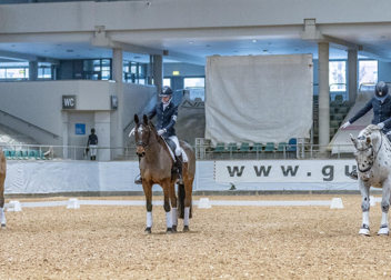 DHM Reiten: WG Würzburg sichert sich Titel in der Mannschaft