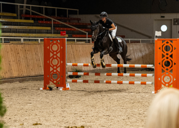 Nach 22 Jahren: DHM Reiten kehrt zurück nach Neustadt
