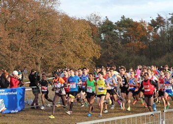 Fränkische Unis dominieren bei der DHM Crosslauf
